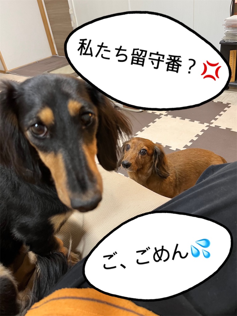 f:id:shinodaks79:20221029200148j:image