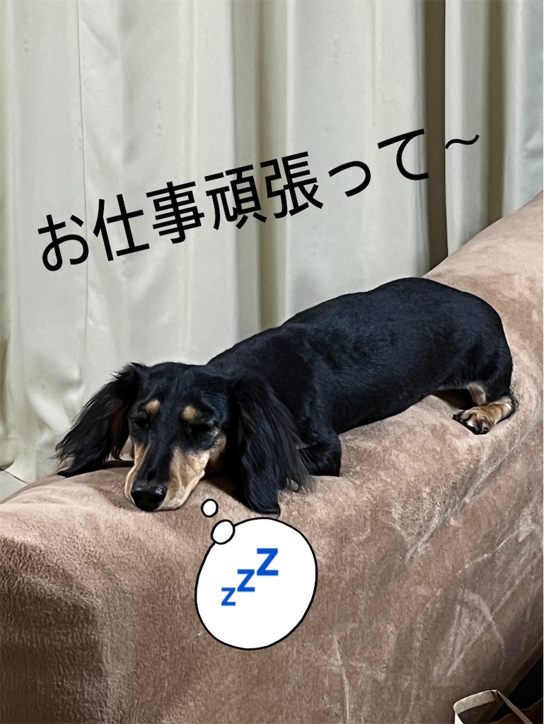 f:id:shinodaks79:20230105163330j:image