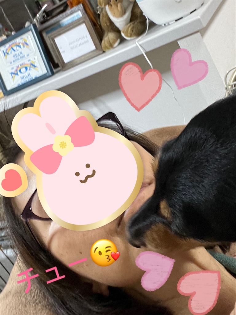 f:id:shinodaks79:20230105184026j:image