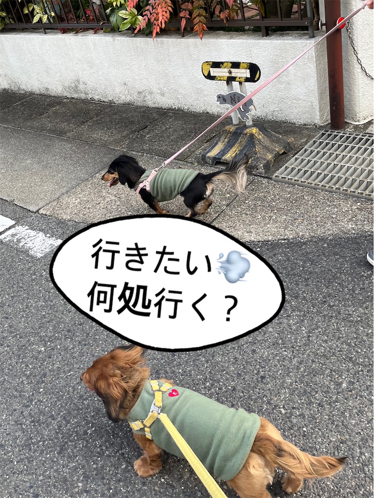 f:id:shinodaks79:20230218171028j:image