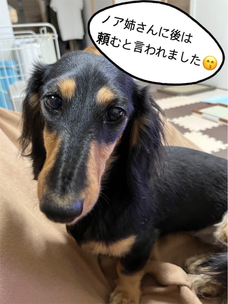 f:id:shinodaks79:20230313204621j:image