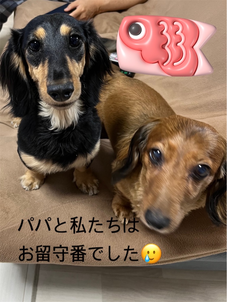 f:id:shinodaks79:20230506163408j:image