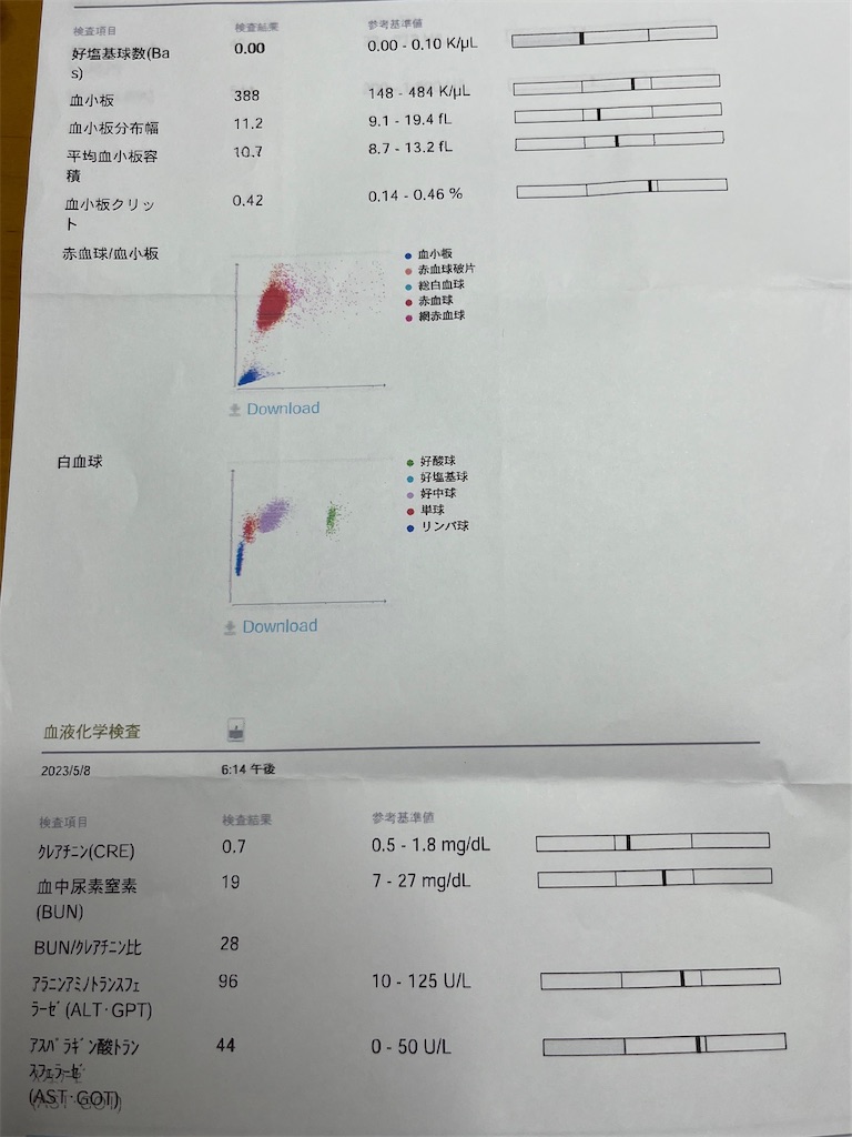 f:id:shinodaks79:20230509081515j:image