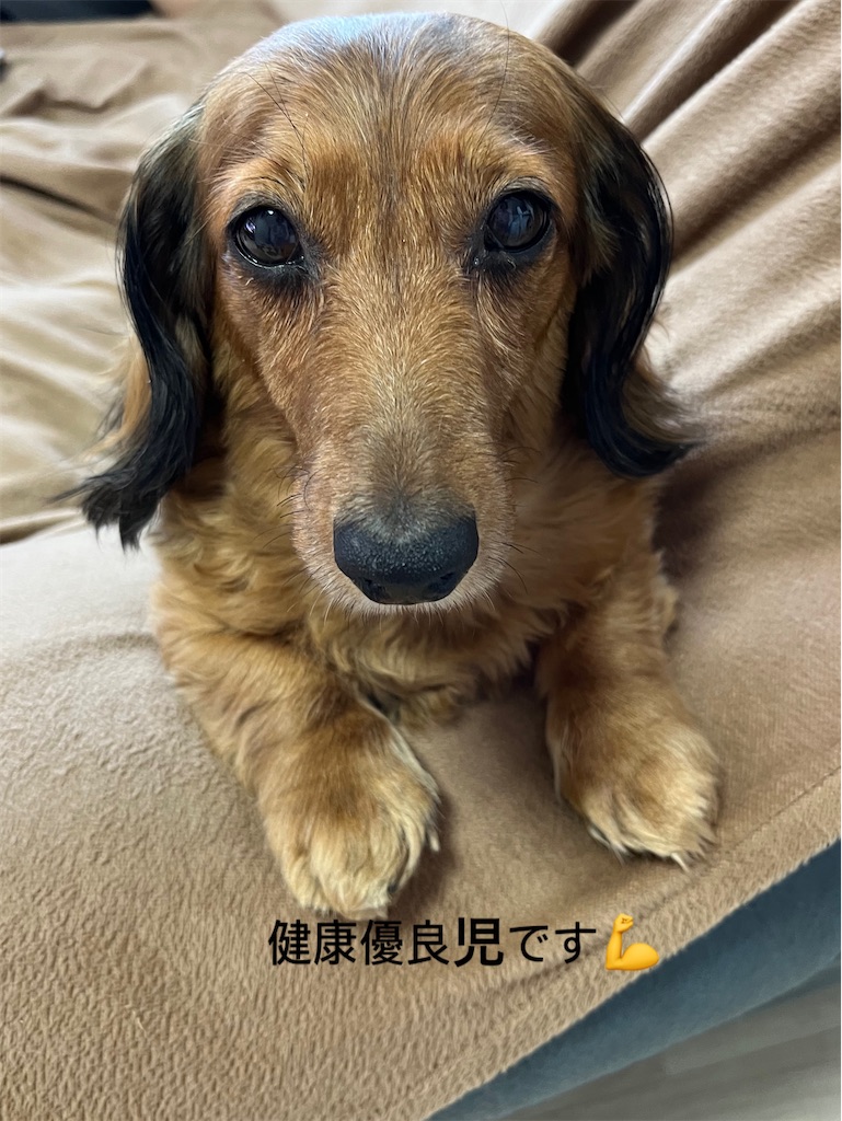 f:id:shinodaks79:20230509163800j:image