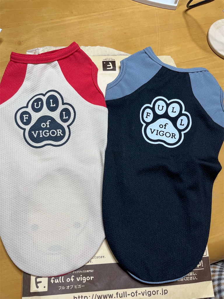 f:id:shinodaks79:20230713202940j:image