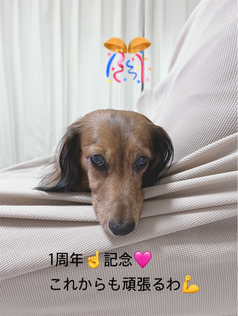 f:id:shinodaks79:20230729180120j:image