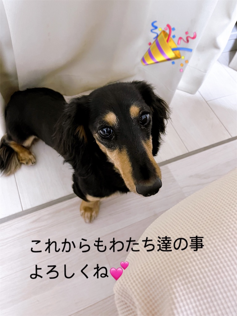 f:id:shinodaks79:20230729180124j:image