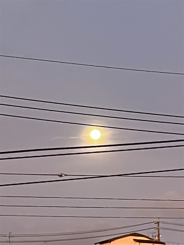 f:id:shinodaks79:20230902165525j:image f:id:shinodaks79:20230902165525j:image