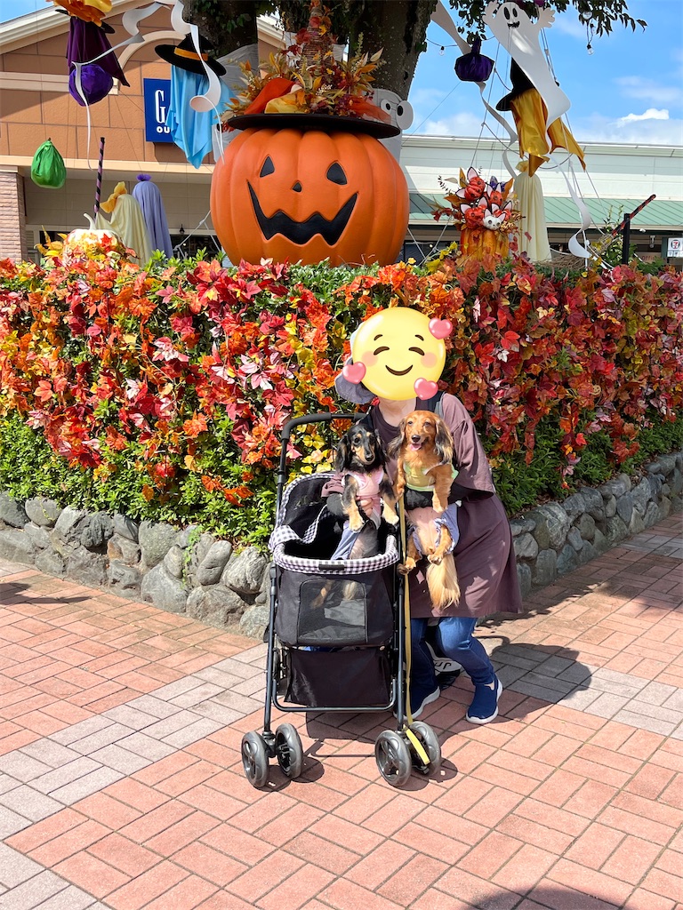 f:id:shinodaks79:20230916200852j:image