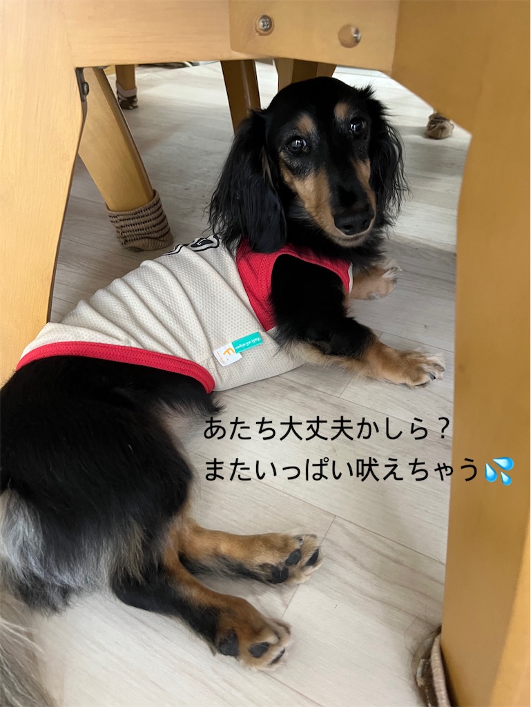 f:id:shinodaks79:20230923190346j:image