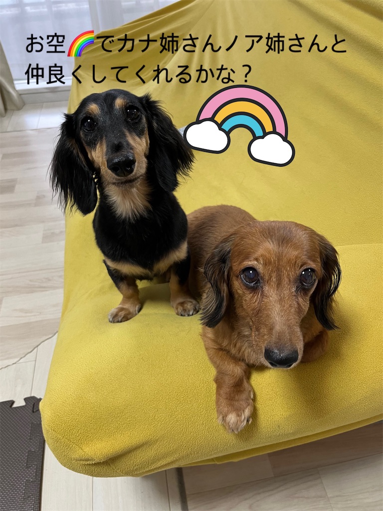 f:id:shinodaks79:20231016205159j:image