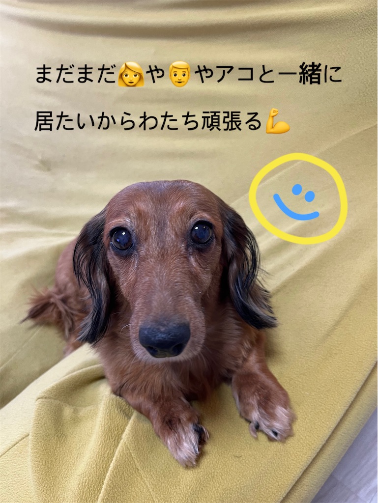 f:id:shinodaks79:20231111193902j:image f:id:shinodaks79:20231111193902j:image