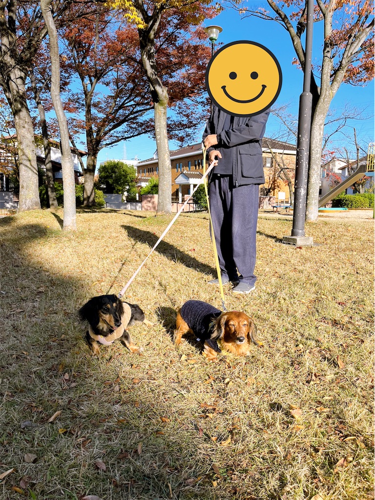 f:id:shinodaks79:20231125192542j:image