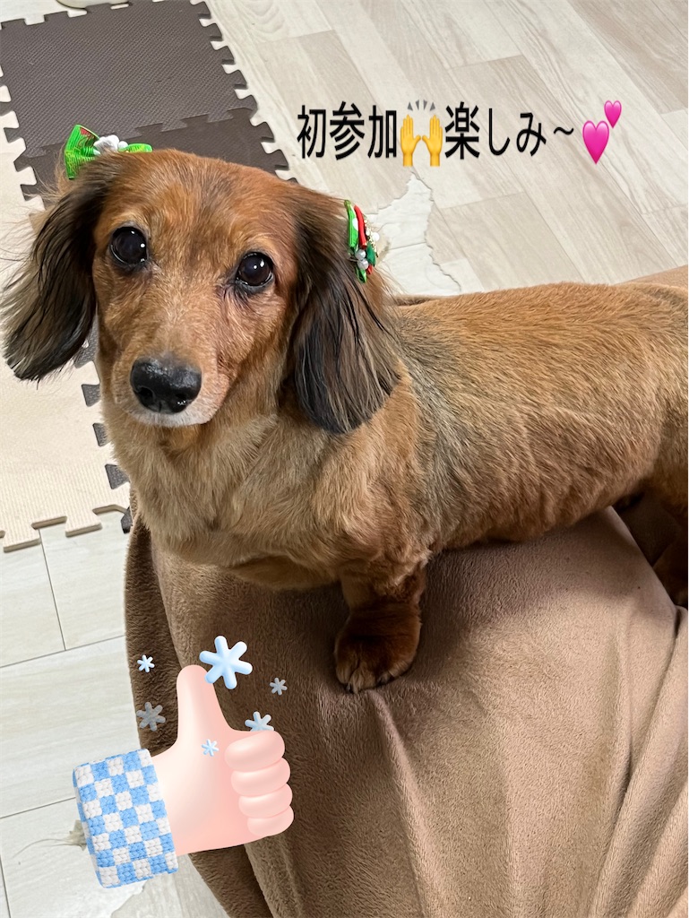 f:id:shinodaks79:20231203200936j:image