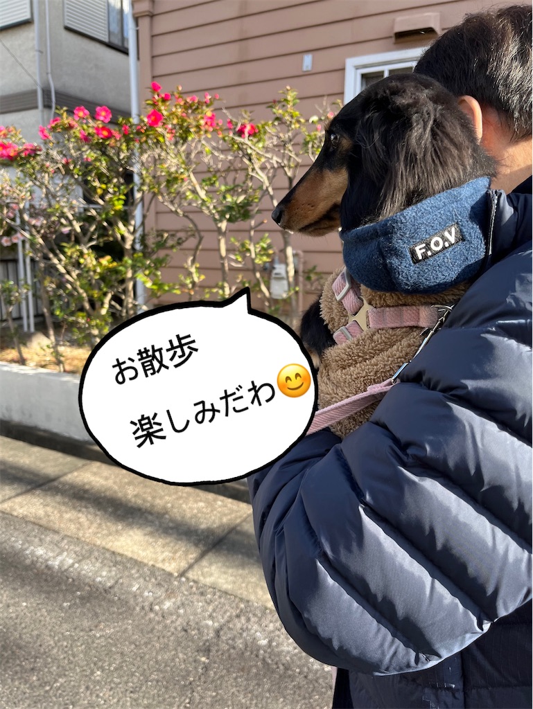 f:id:shinodaks79:20240110081733j:image