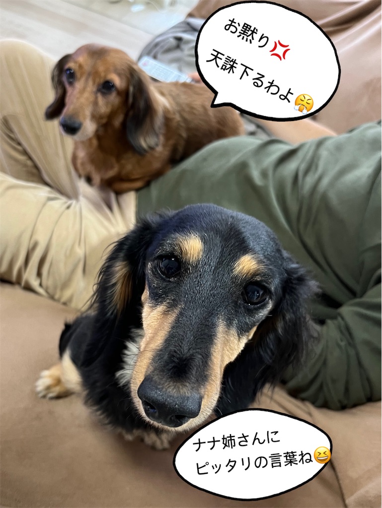 f:id:shinodaks79:20240113152946j:image