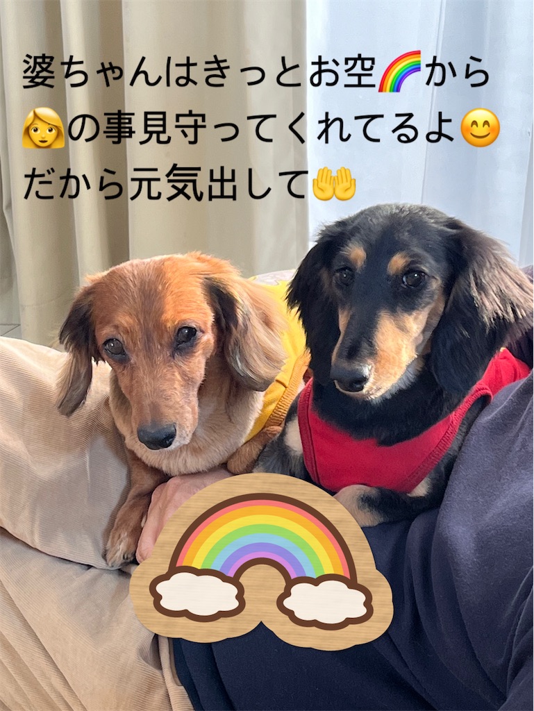 f:id:shinodaks79:20240217200148j:image