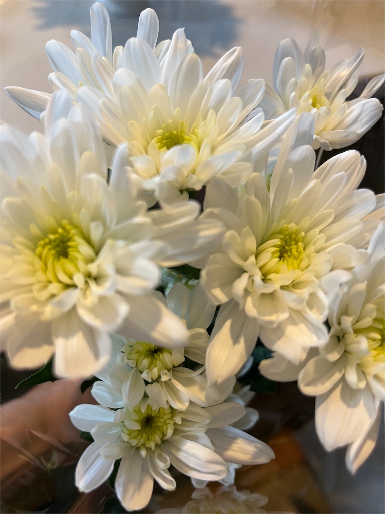 f:id:shinodaks79:20240314061208j:image f:id:shinodaks79:20240314061208j:image