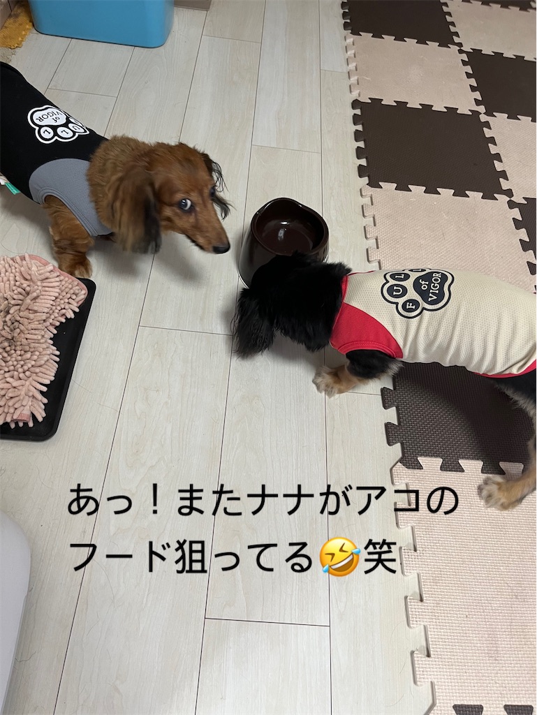 f:id:shinodaks79:20240908191556j:image