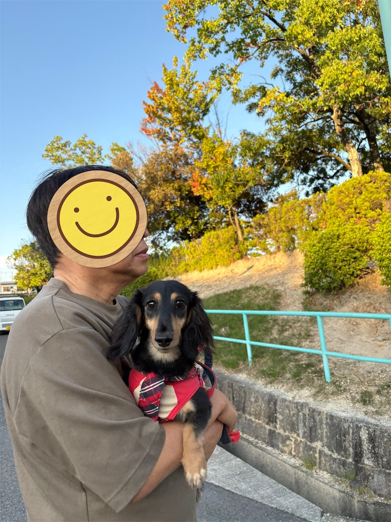 f:id:shinodaks79:20250928095954j:image