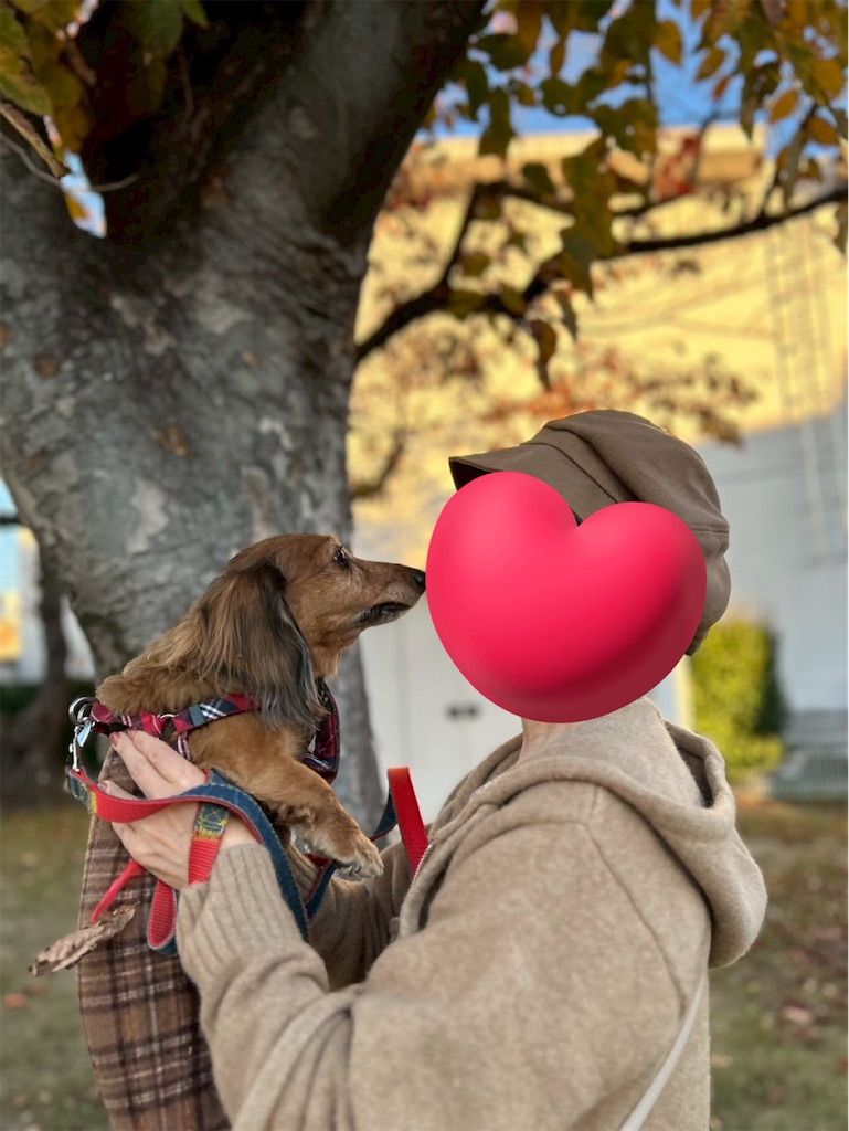 f:id:shinodaks79:20251130142726j:image