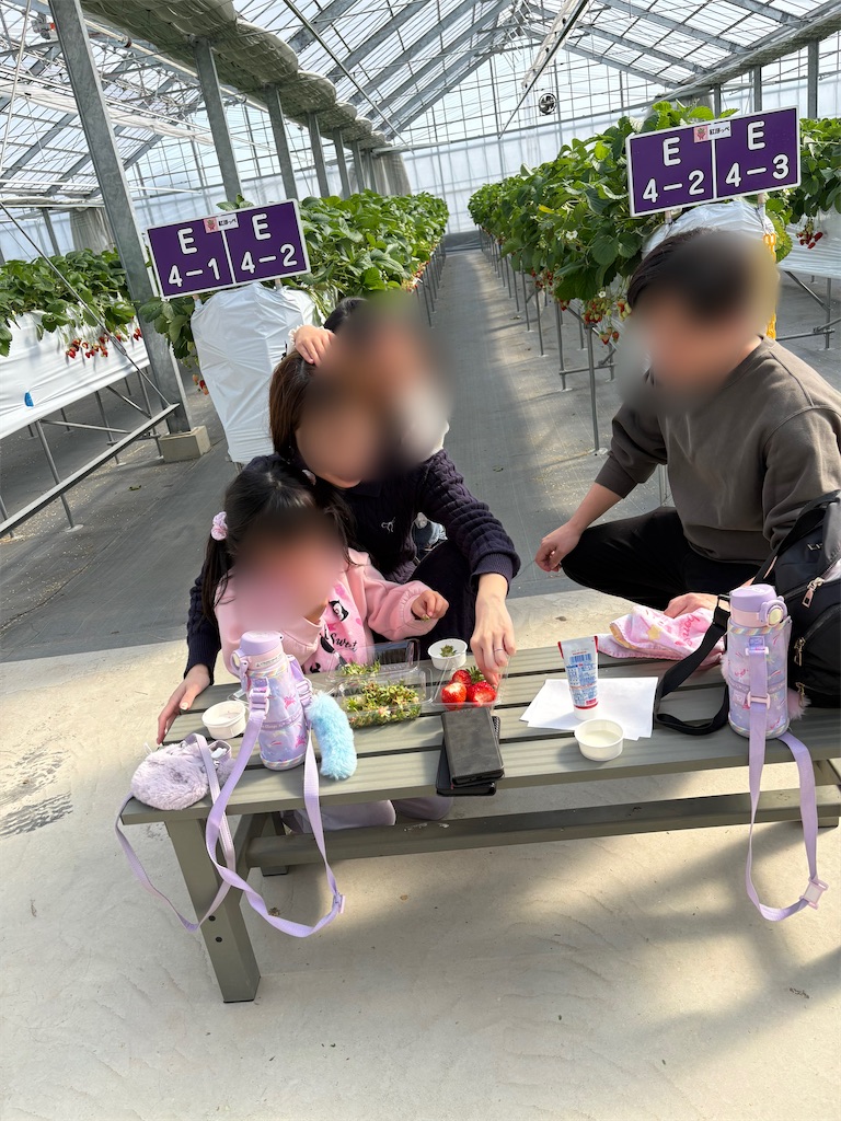 f:id:shinodaks79:20260214174826j:image