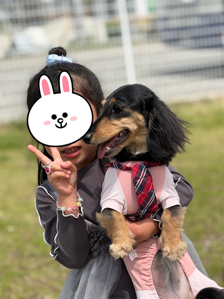 f:id:shinodaks79:20260426091206j:image