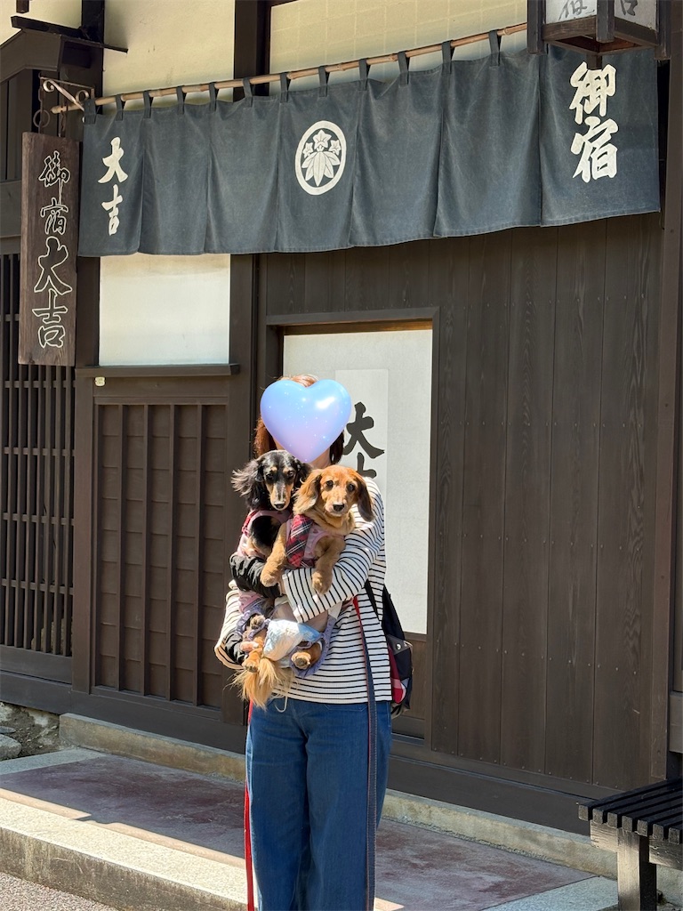 f:id:shinodaks79:20260506205411j:image