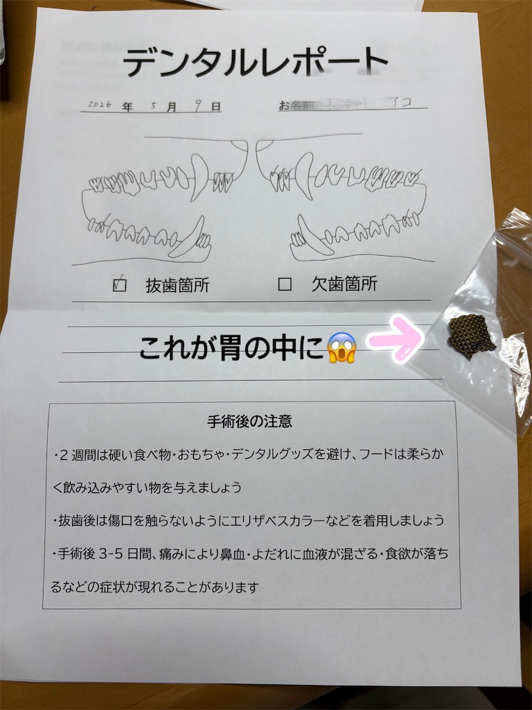 f:id:shinodaks79:20260511062903j:image