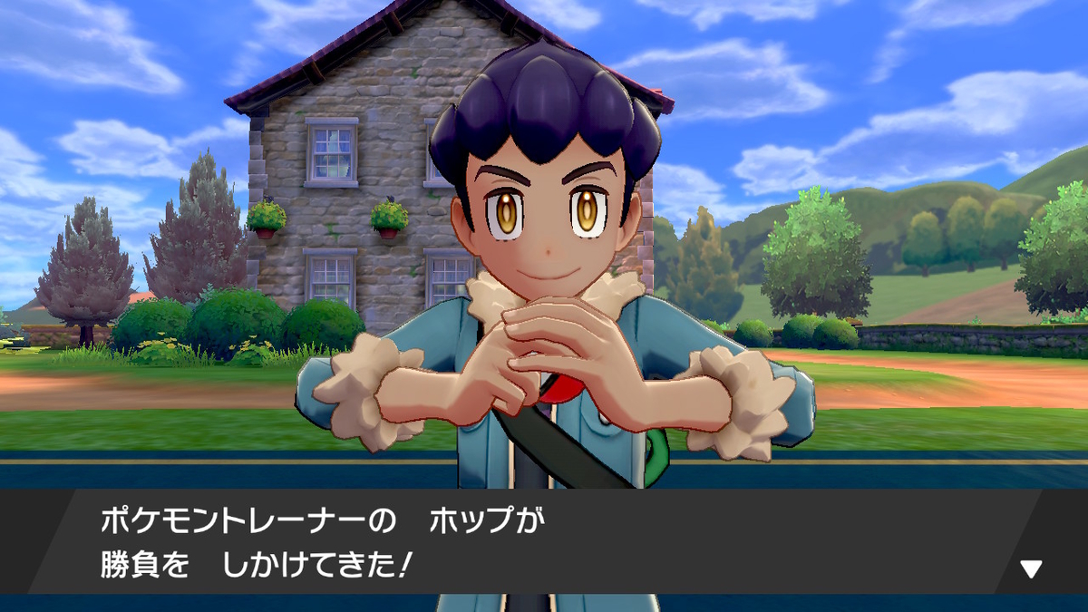 f:id:shinodiary:20200113181139j:plain f:id:shinodiary:20200113181139j:plain