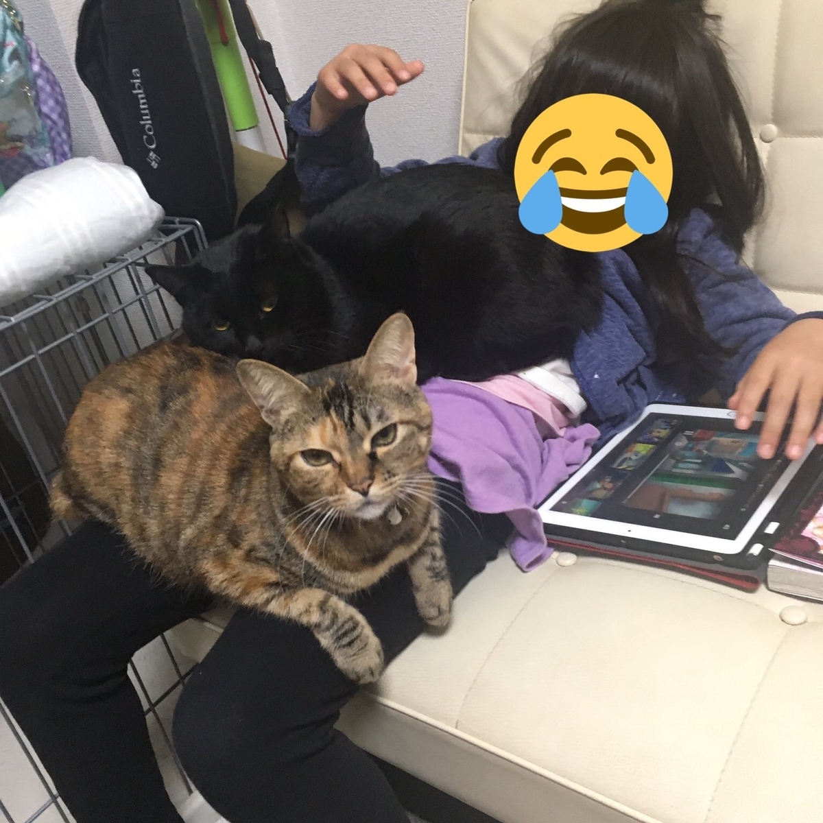 f:id:shinoegg:20190416150549j:plain f:id:shinoegg:20190416150549j:plain