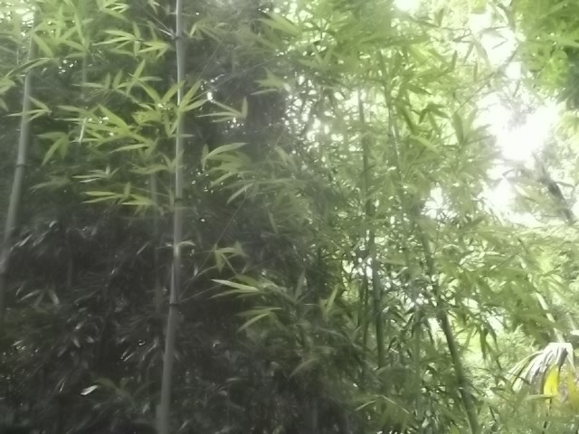 f:id:shinok30:20210407153920j:plain