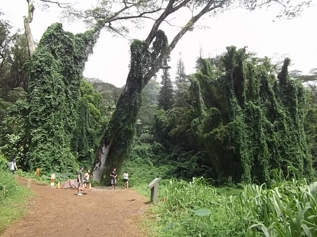 f:id:shinok30:20210407153930j:plain