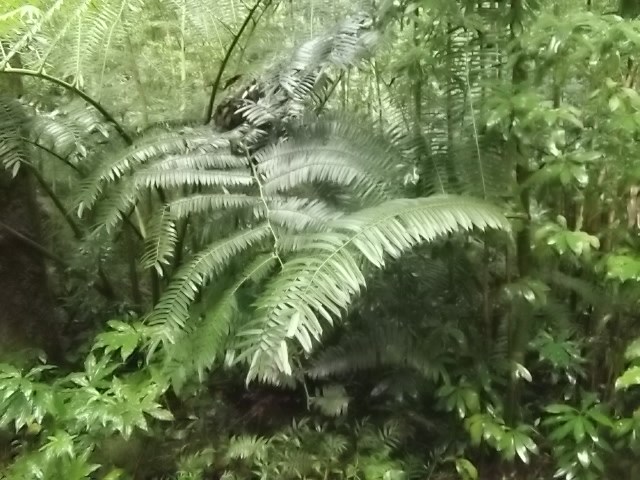 f:id:shinok30:20210407153935j:plain