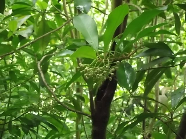 f:id:shinok30:20210407153940j:plain