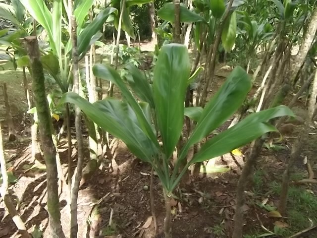 f:id:shinok30:20210407153944j:plain