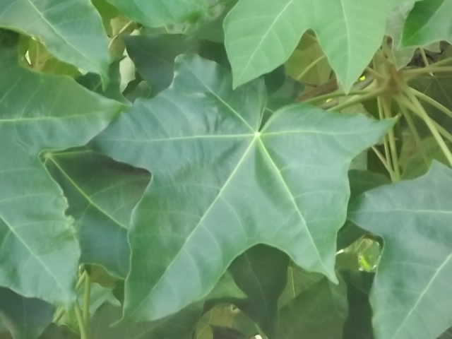 f:id:shinok30:20210407153952j:plain