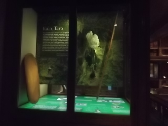 f:id:shinok30:20210407154006j:plain