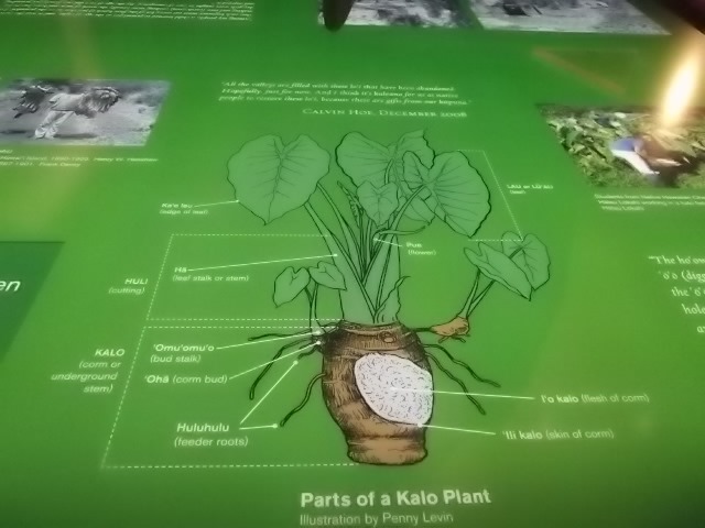 f:id:shinok30:20210407154011j:plain