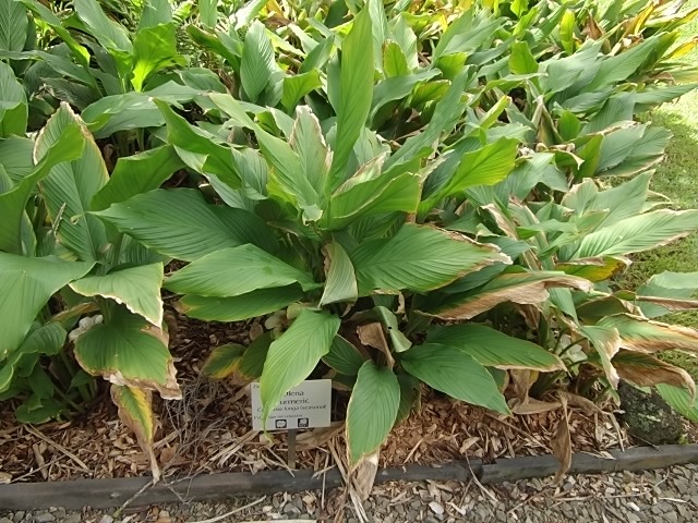 f:id:shinok30:20210407154020j:plain