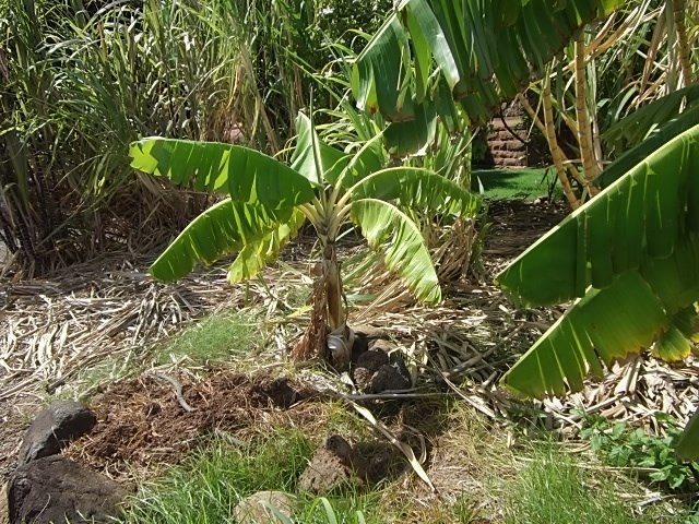 f:id:shinok30:20210407154025j:plain