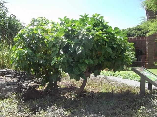 f:id:shinok30:20210407154041j:plain