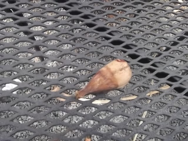 f:id:shinok30:20210407154045j:plain