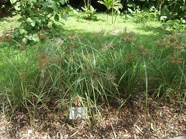 f:id:shinok30:20210407154050j:plain