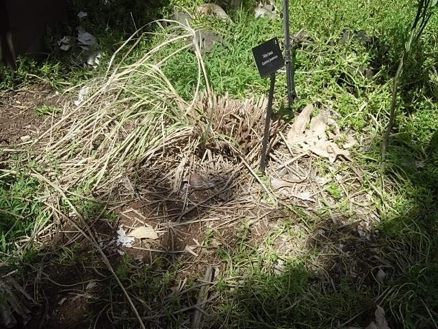 f:id:shinok30:20210407154056j:plain