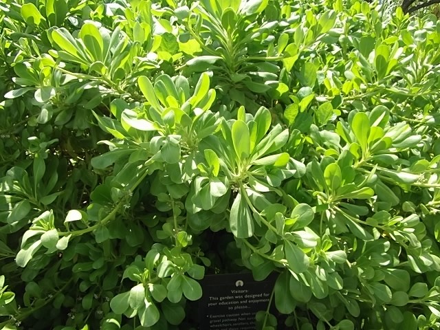 f:id:shinok30:20210407154105j:plain