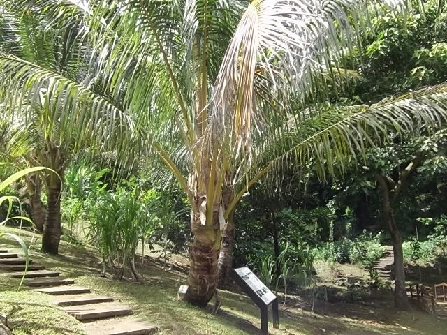 f:id:shinok30:20210407154124j:plain