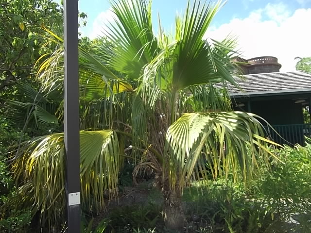 f:id:shinok30:20210407154135j:plain