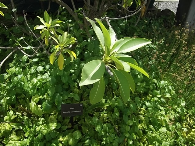 f:id:shinok30:20210407154141j:plain