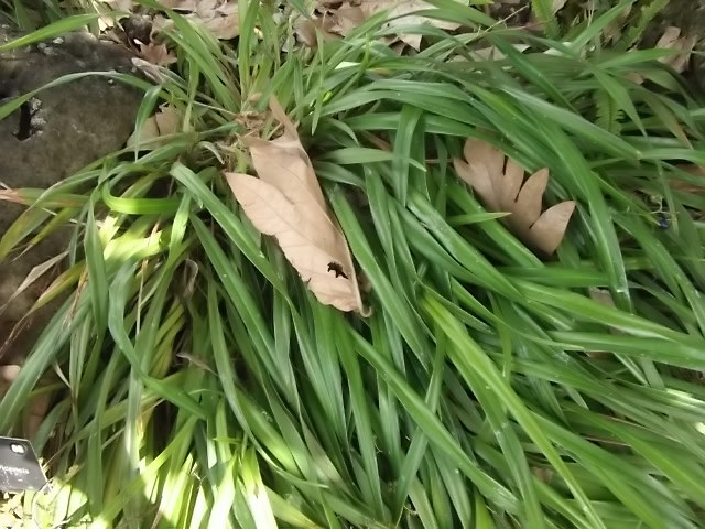 f:id:shinok30:20210407154147j:plain